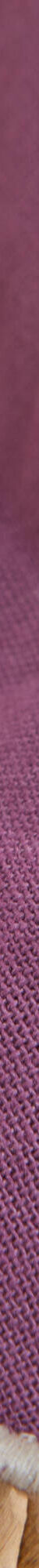 Coussin uni coton finition feston (mauve) Coussin uni coton finition feston (mauve)
